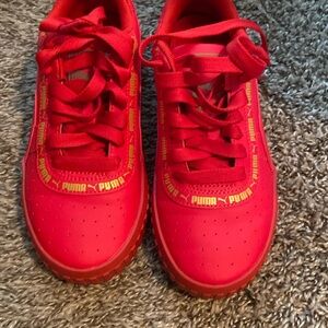 Red pumas